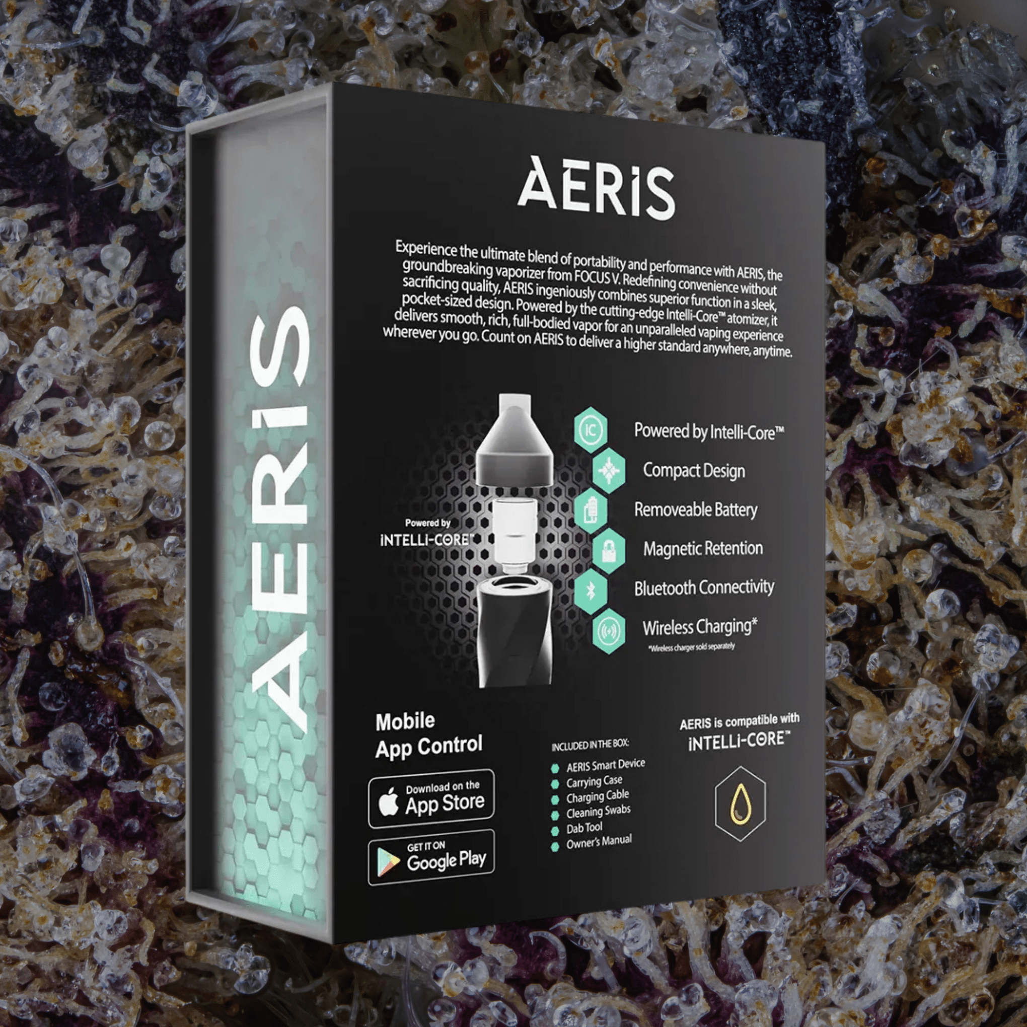 Focus V Aeris Grape | Trichly