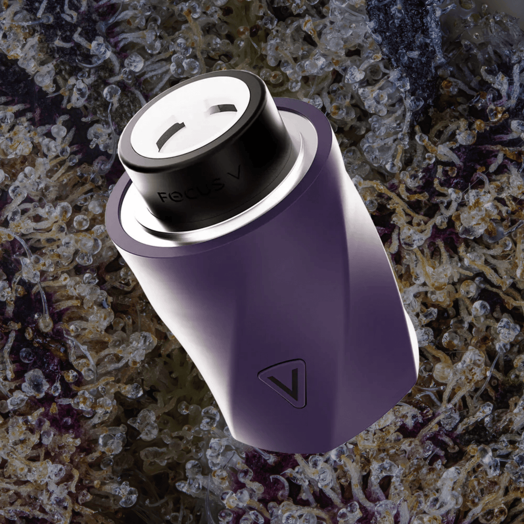 Focus V Aeris Grape | Trichly