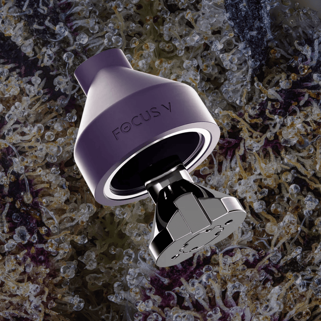 Focus V Aeris Grape | Trichly