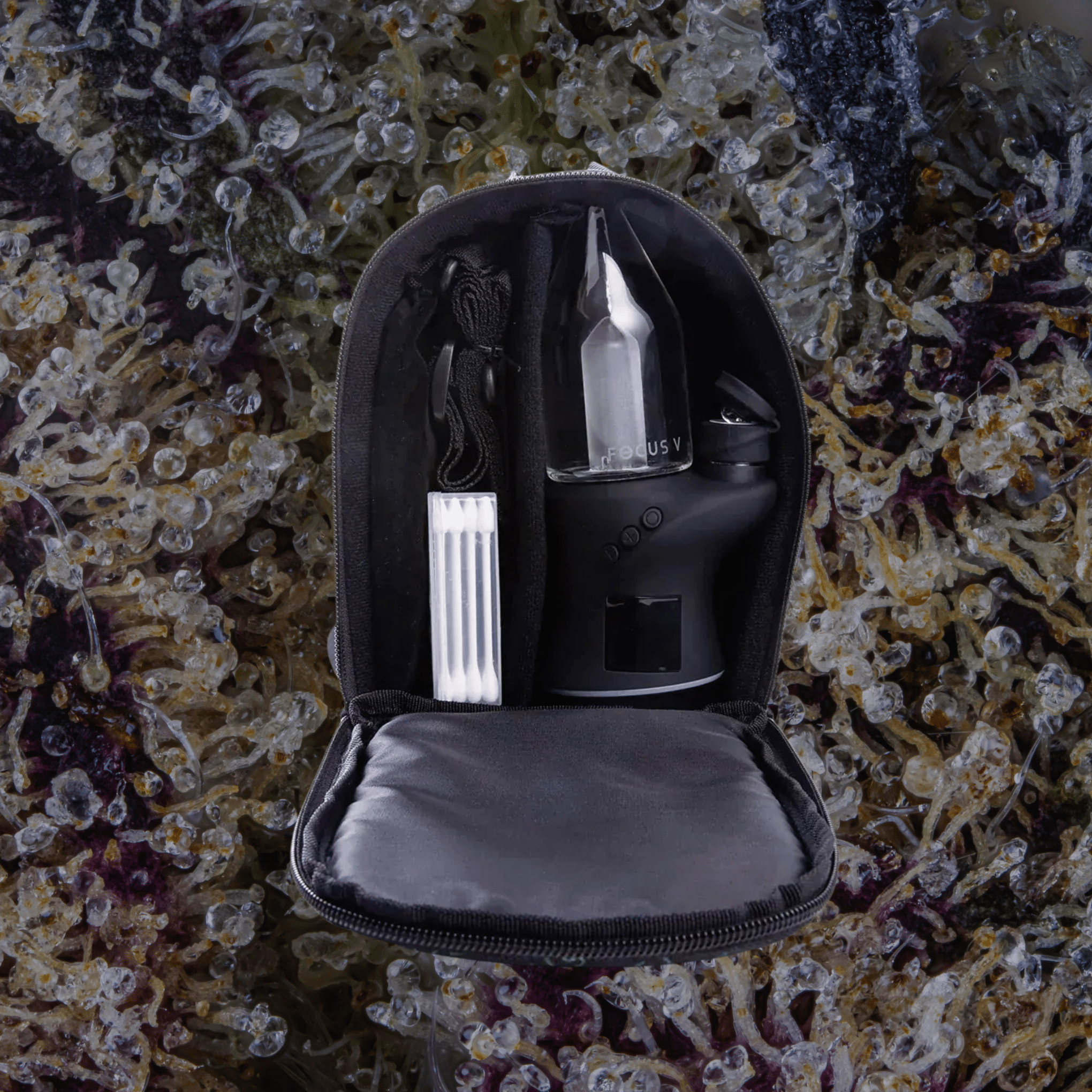 Focus V Carta Carry Case | Trichly