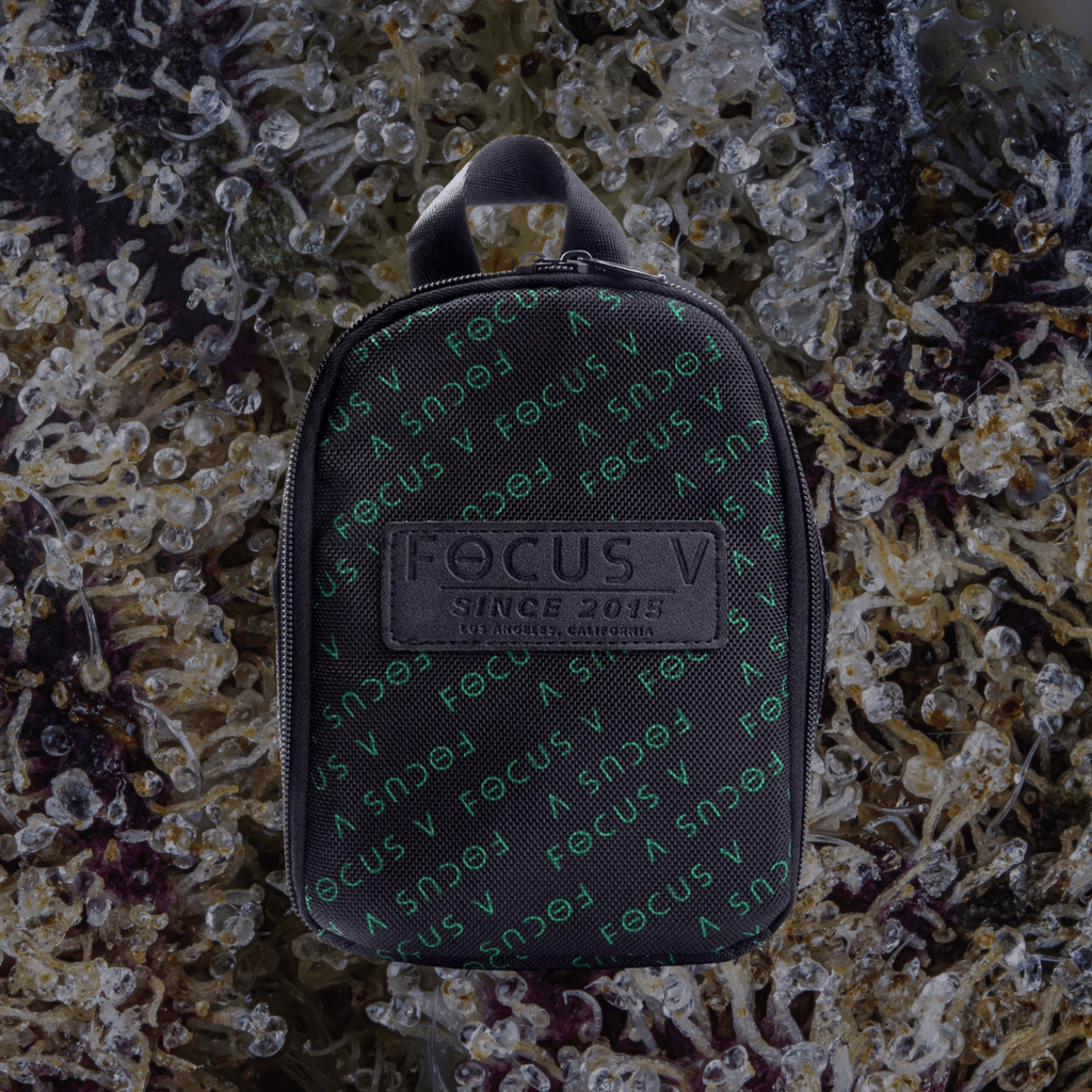 Focus V Carta Carry Case | Trichly
