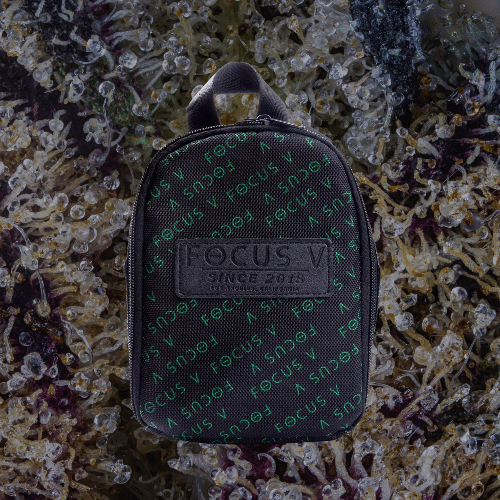 Focus V Carta Carry Case | Trichly