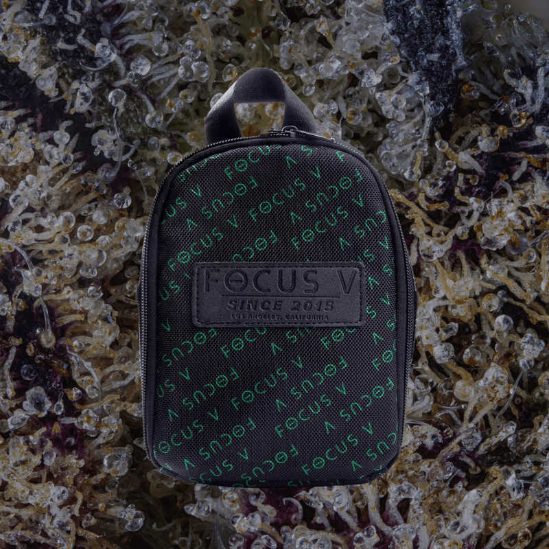 Focus V Carta Carry Case | Trichly