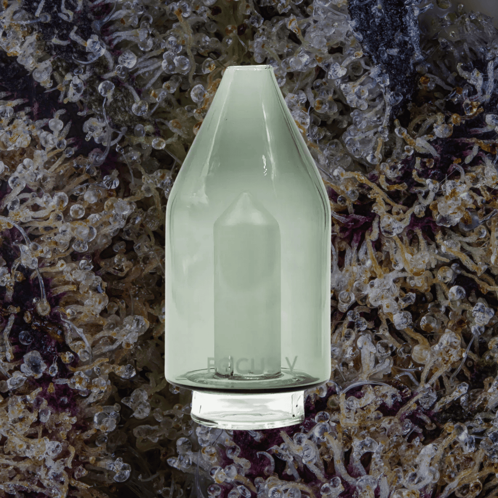 Focus V Carta Glass Attachments | Trichly
