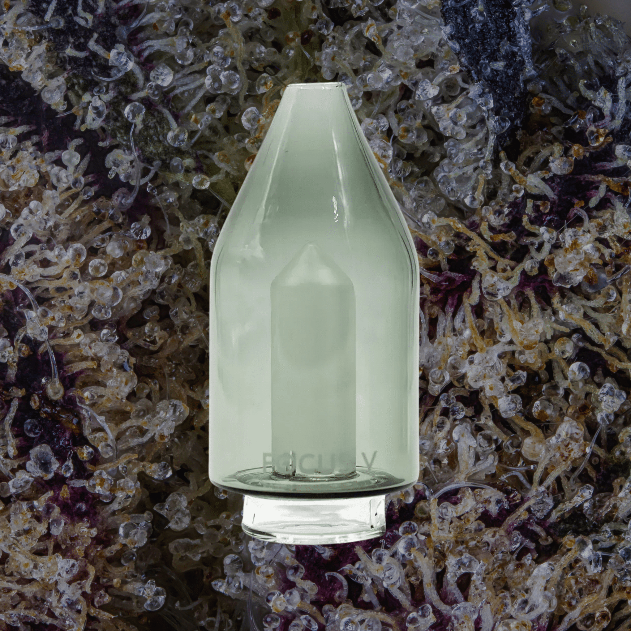 Focus V Carta Glass Attachments | Trichly