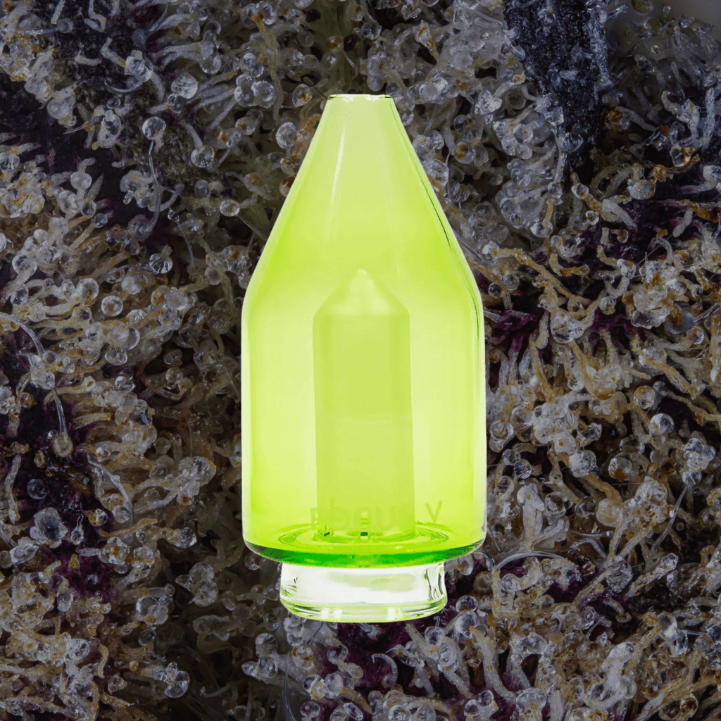 Focus V Carta Glass Attachments | Trichly