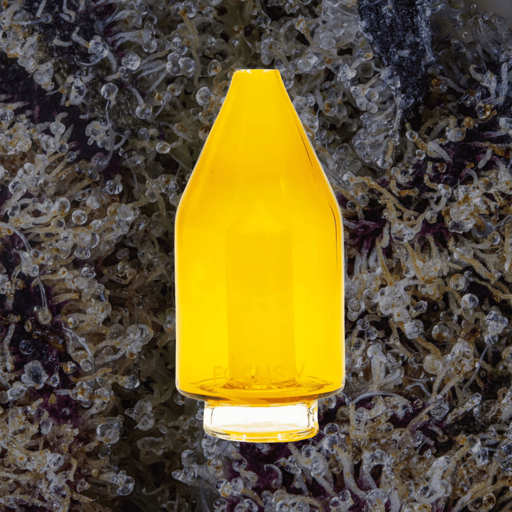 Focus V Carta Glass Attachments | Trichly