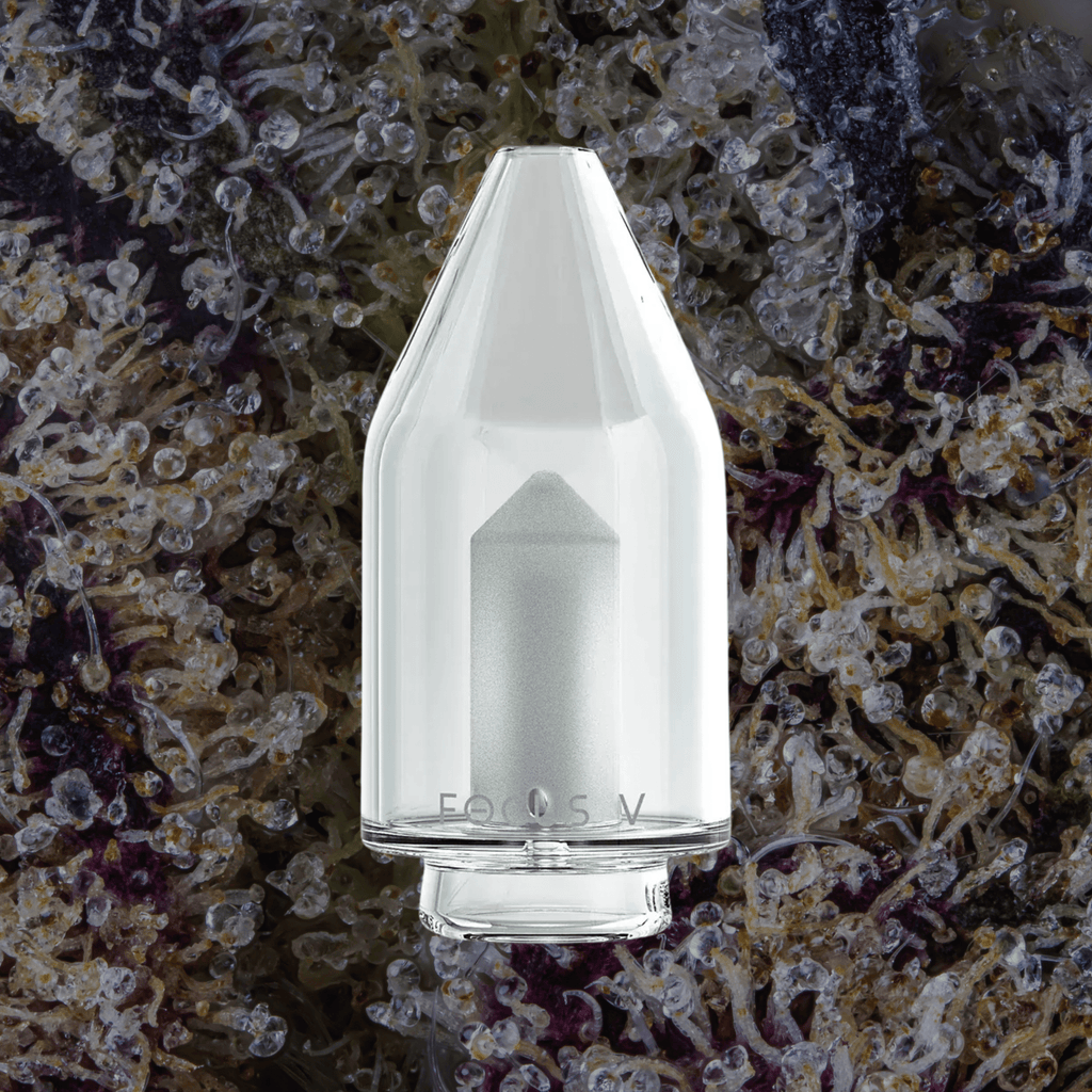 Focus V Carta Glass Attachments | Trichly