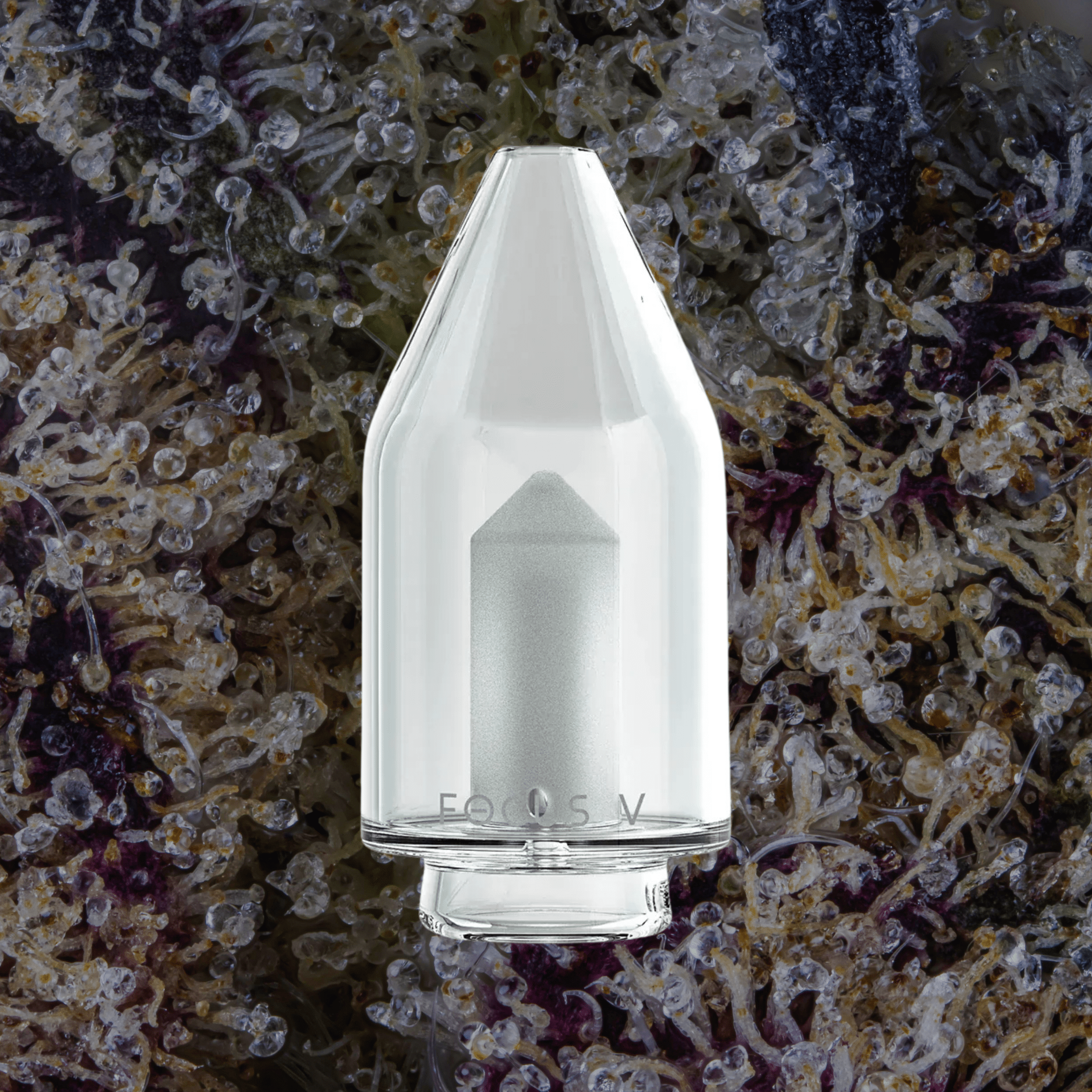 Focus V Carta Glass Attachments | Trichly