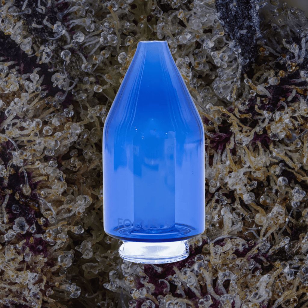 Focus V Carta Glass Attachments | Trichly