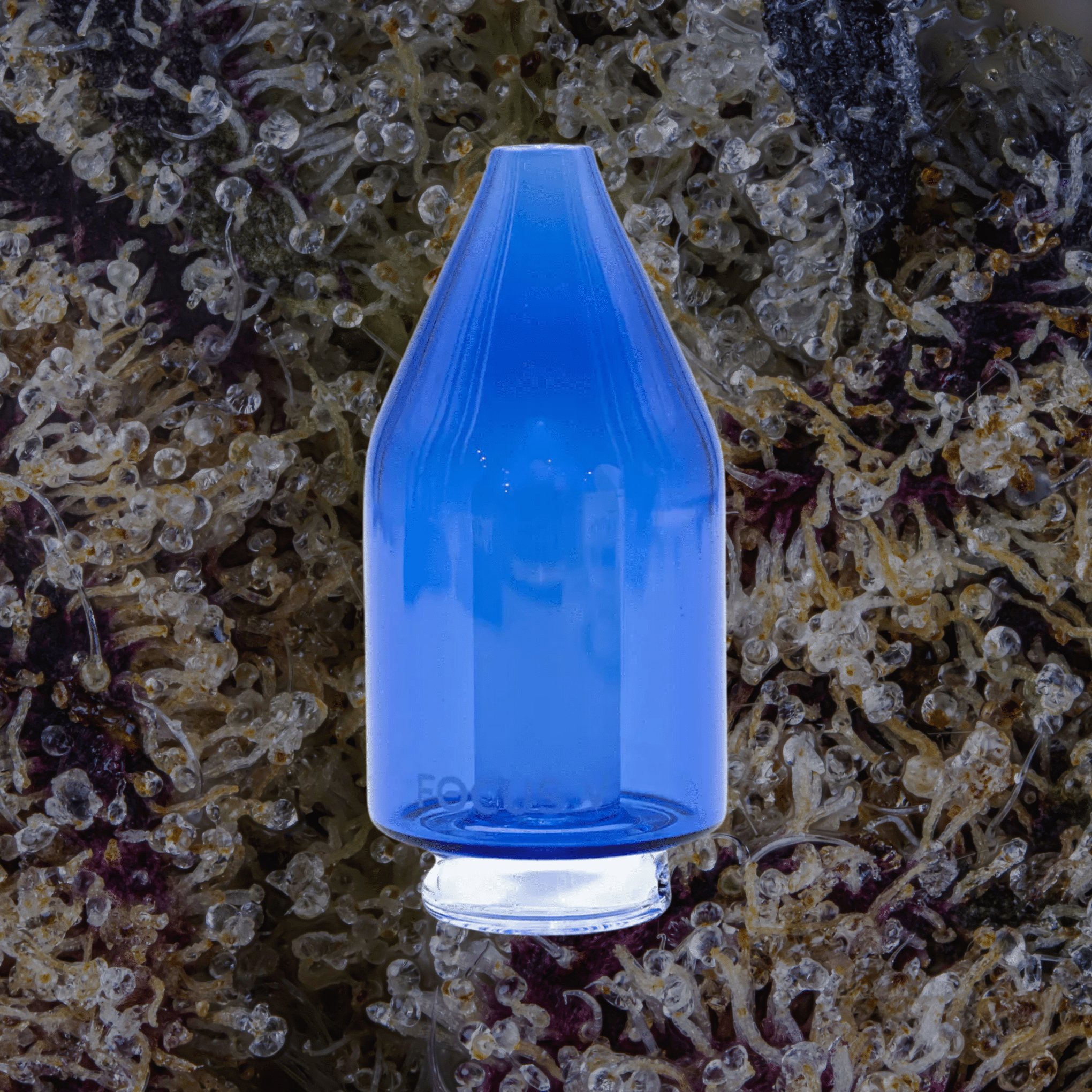 Focus V Carta Glass Attachments | Trichly