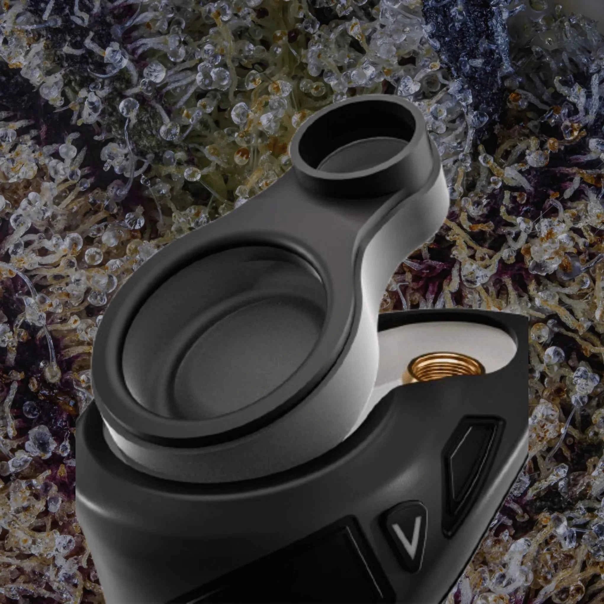 Focus V Carta Sport Lilac | Trichly