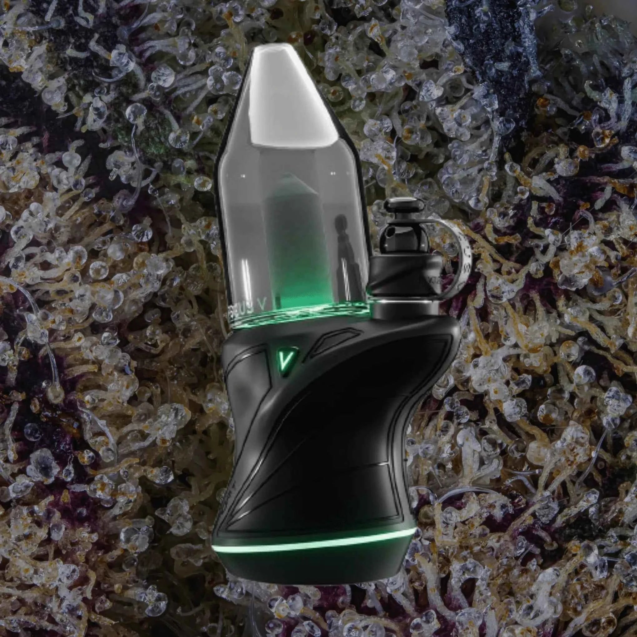 Focus V Carta Sport Black | Trichly