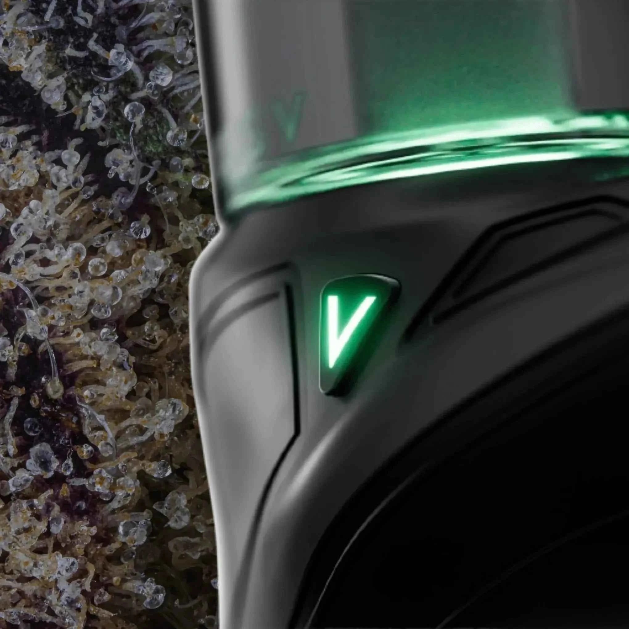 Focus V Carta Sport Lilac | Trichly