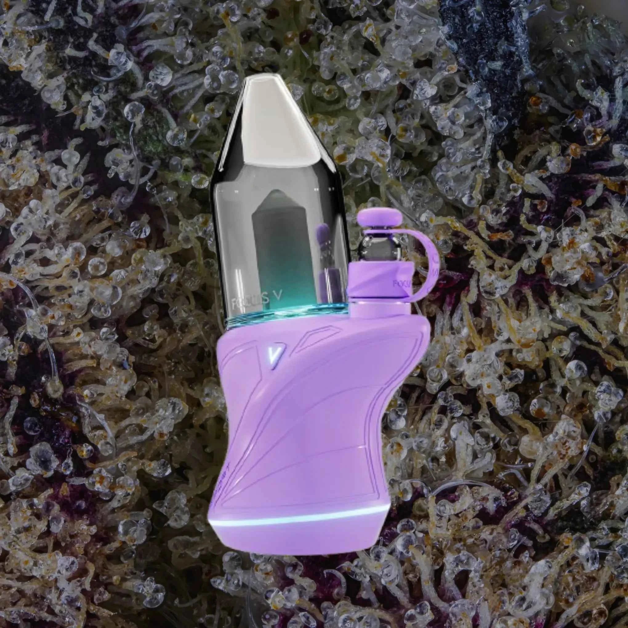 Focus V Carta Sport Lilac | Trichly