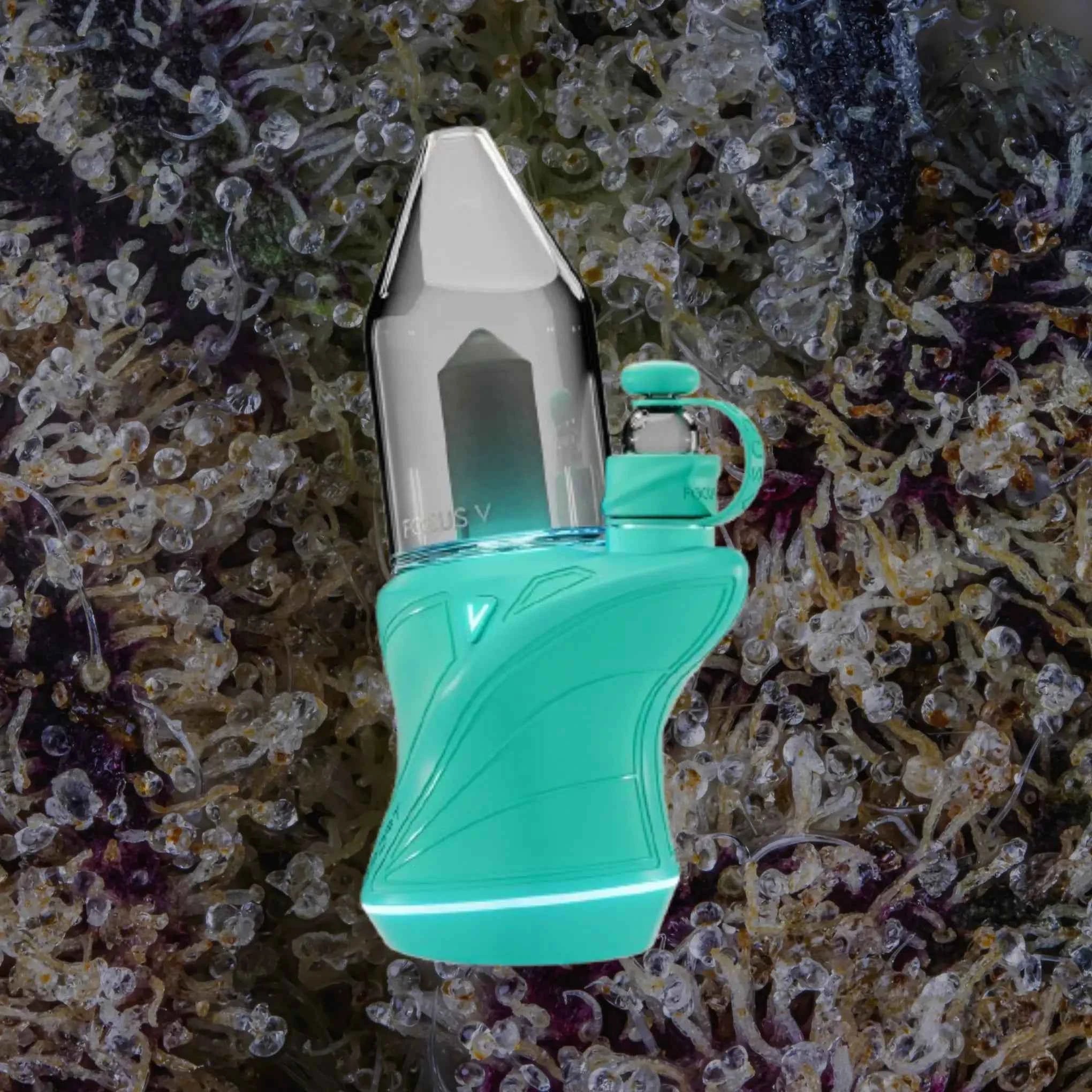 Focus V Carta Sport Teal | Trichly