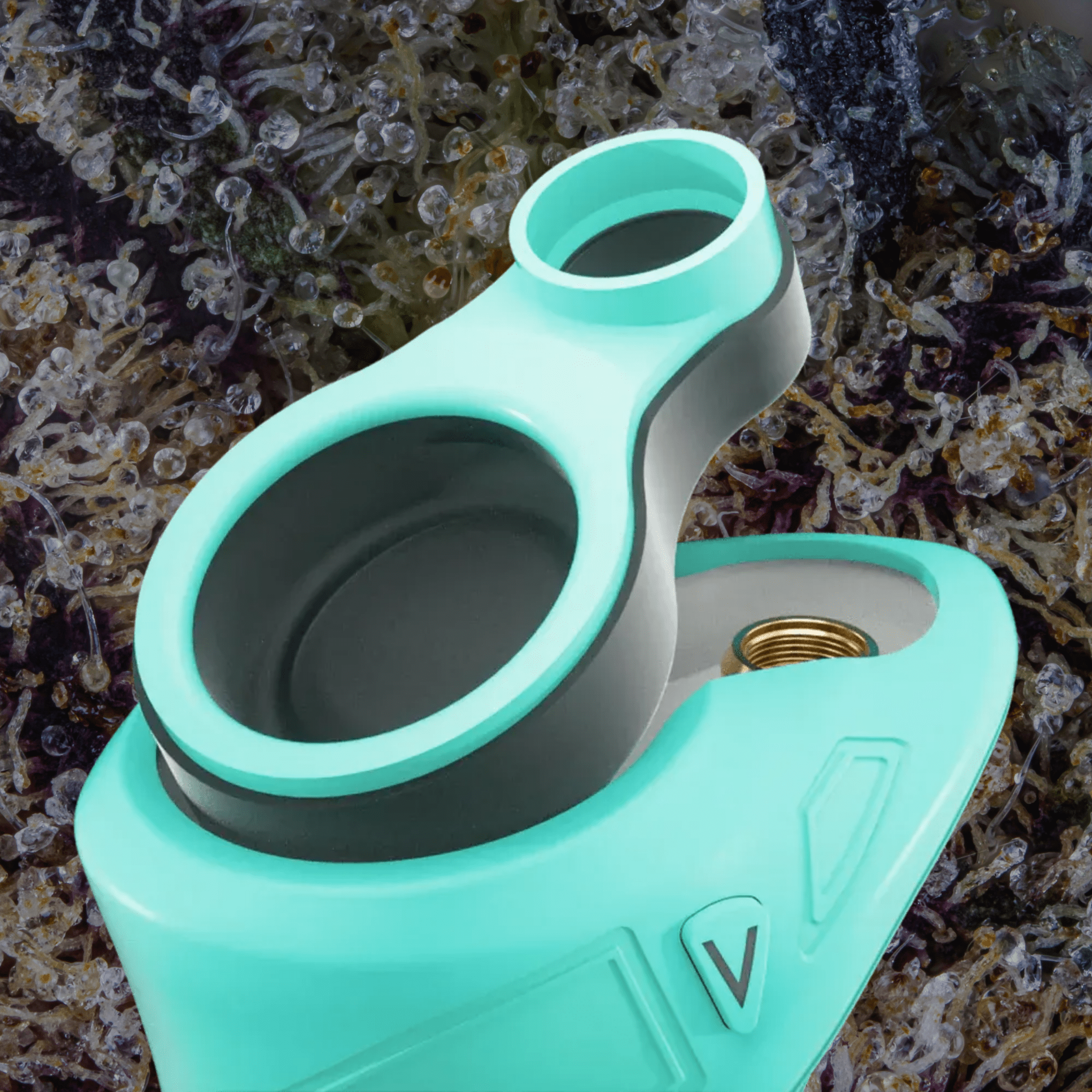 Focus V Carta Sport Teal | Trichly
