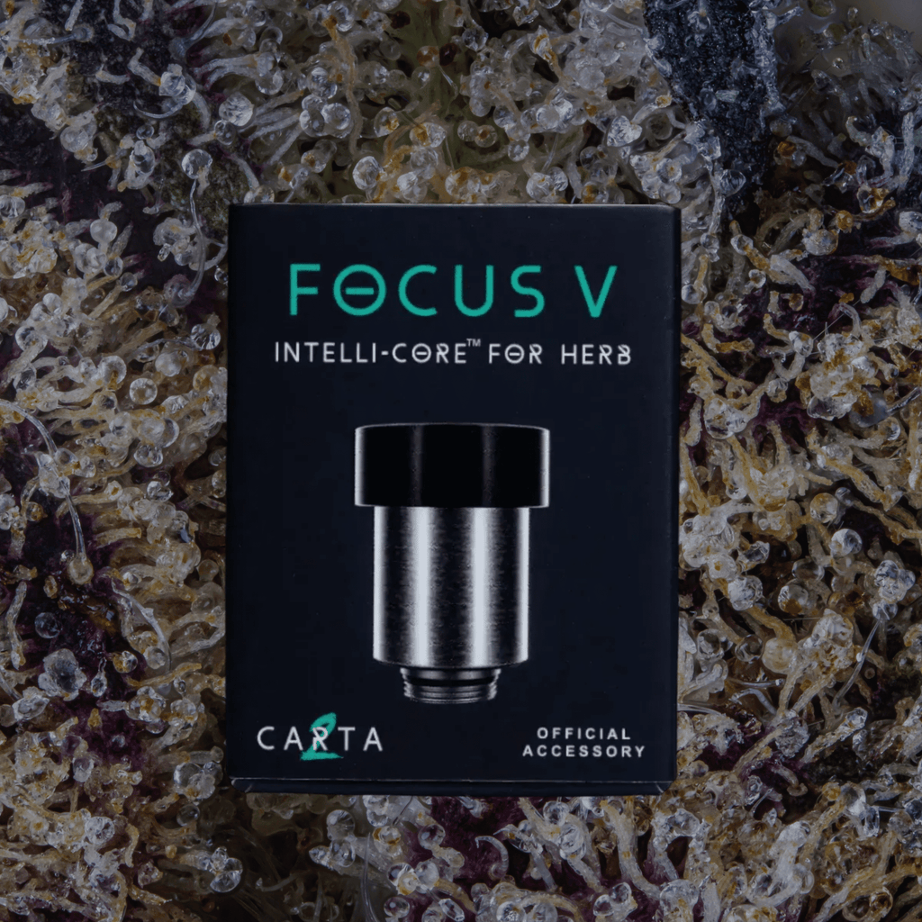 Focus V Intelli - Core Atomizers Intelli - Core (Dry Herb) | Trichly
