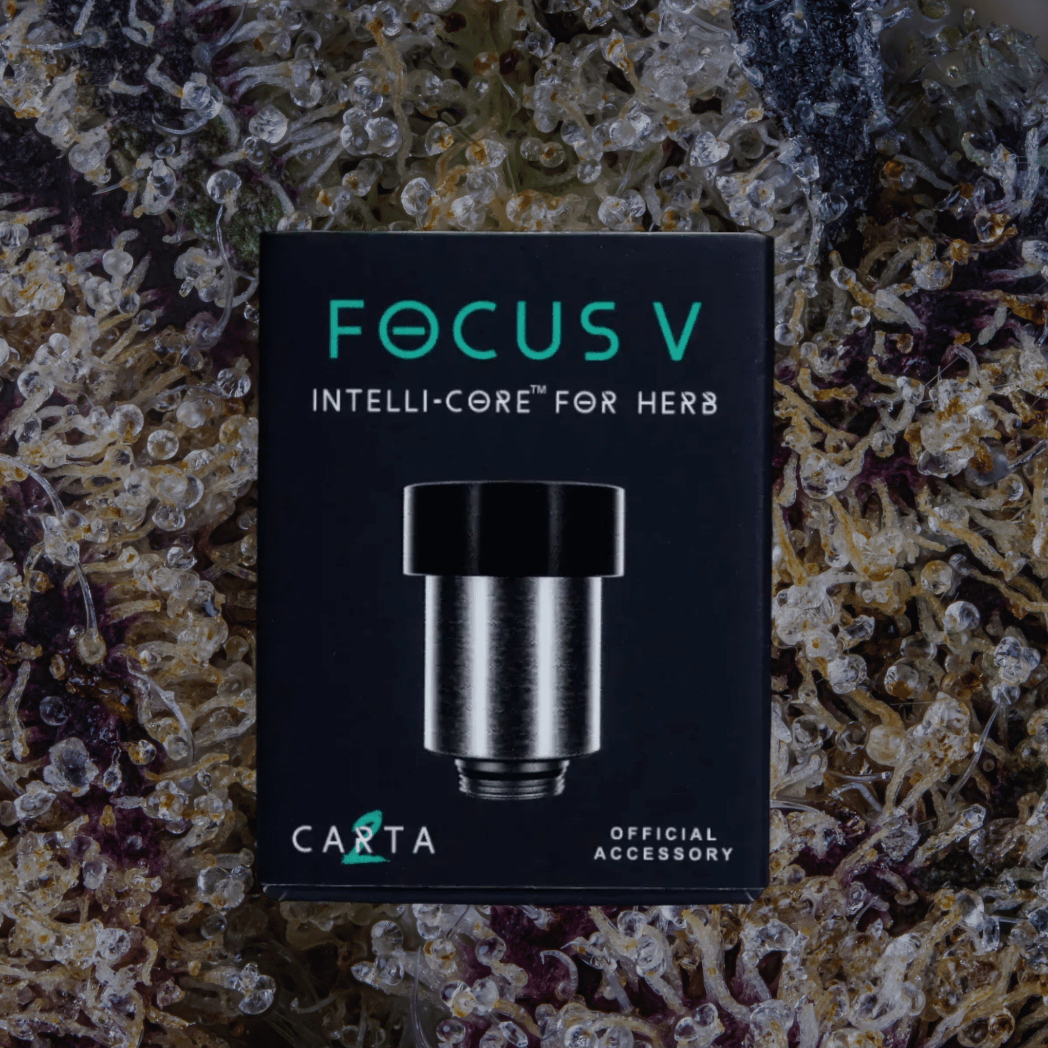 Focus V Intelli - Core Atomizers Intelli - Core (Dry Herb) | Trichly