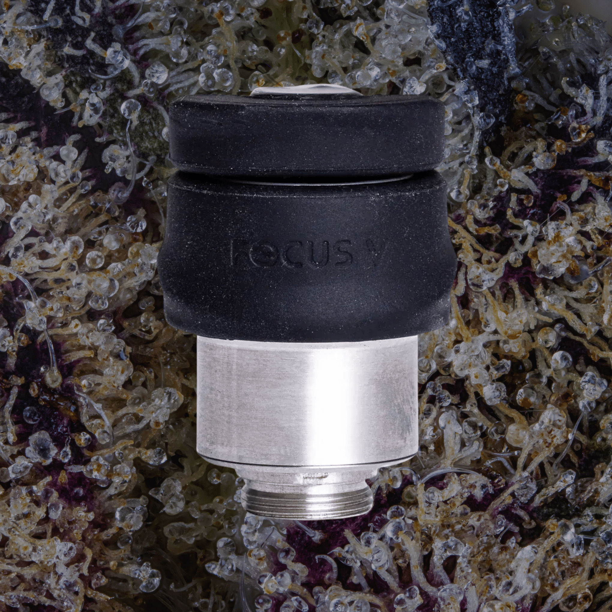 Focus V Intelli - Core Atomizers Intelli - Core (Dry Herb) | Trichly