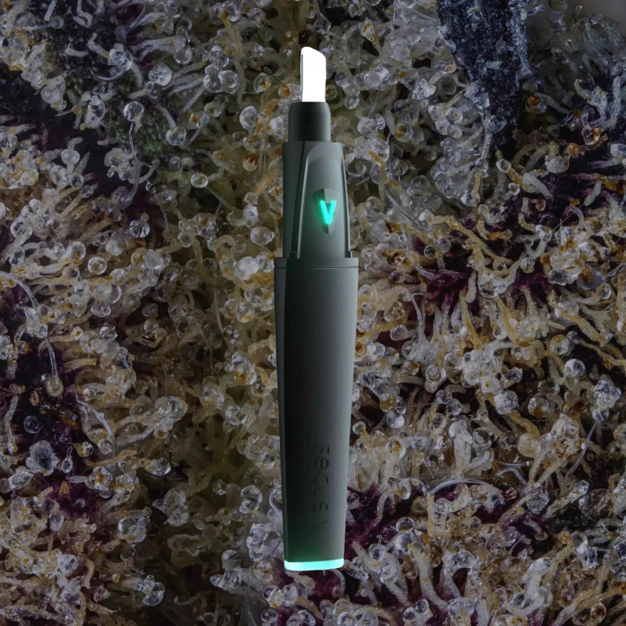 Focus V Saber Hot Knife Black | Trichly