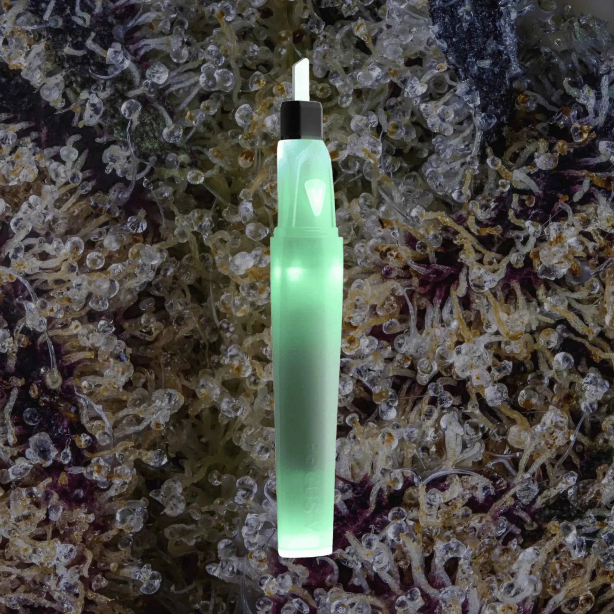 Focus V Saber Hot Knife Clear | Trichly