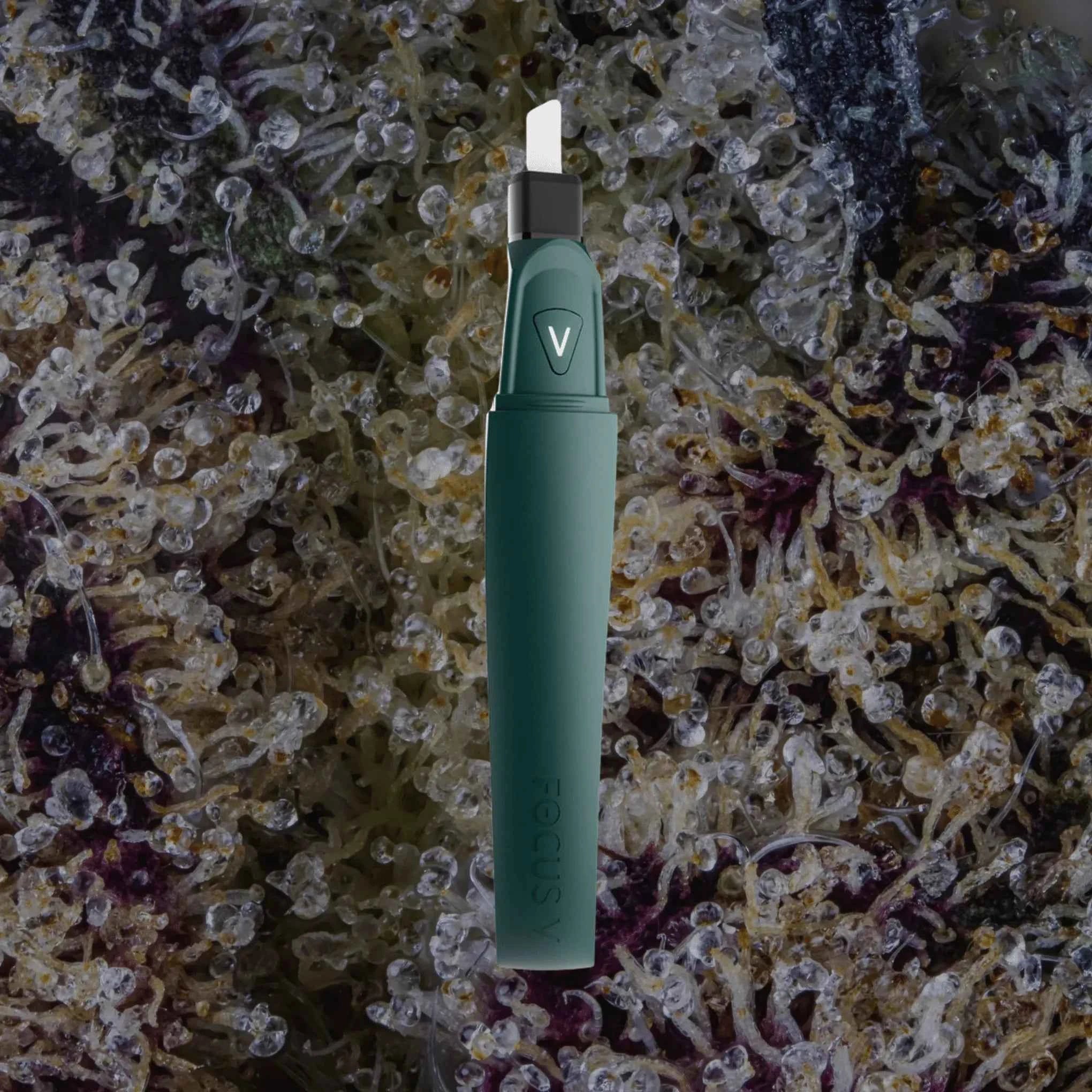 Focus V Saber Hot Knife Jade | Trichly