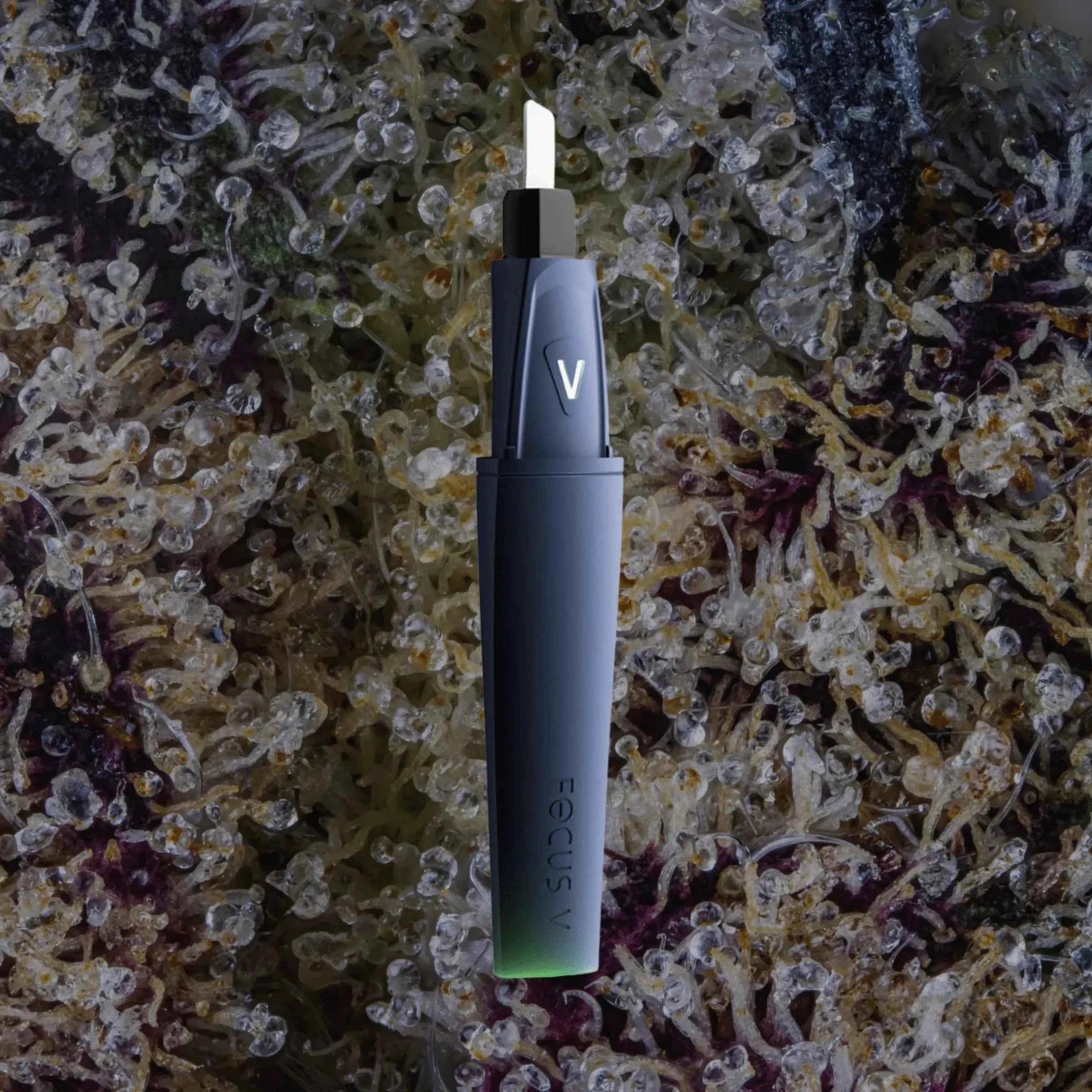 Focus V Saber Hot Knife Midnight | Trichly