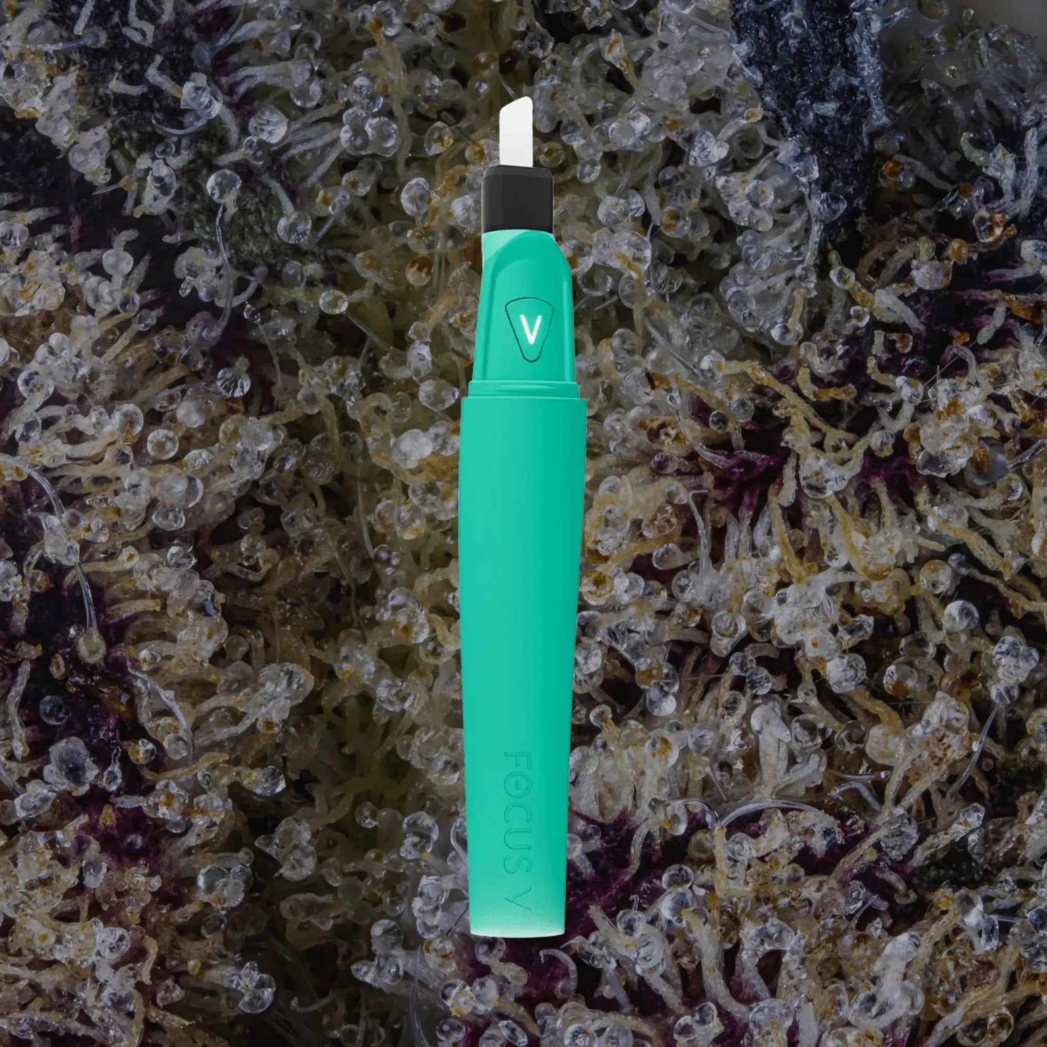 Focus V Saber Hot Knife Teal | Trichly