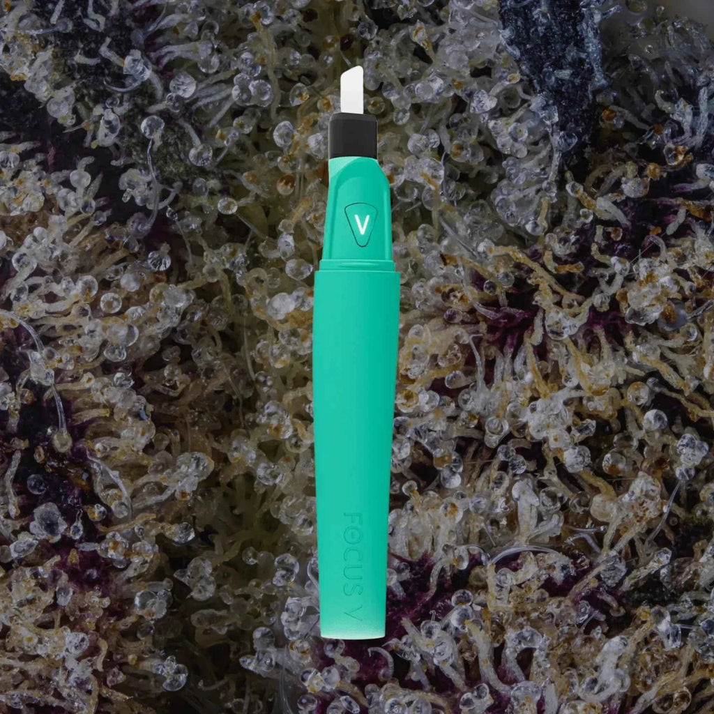 Focus V Saber Hot Knife Teal | Trichly
