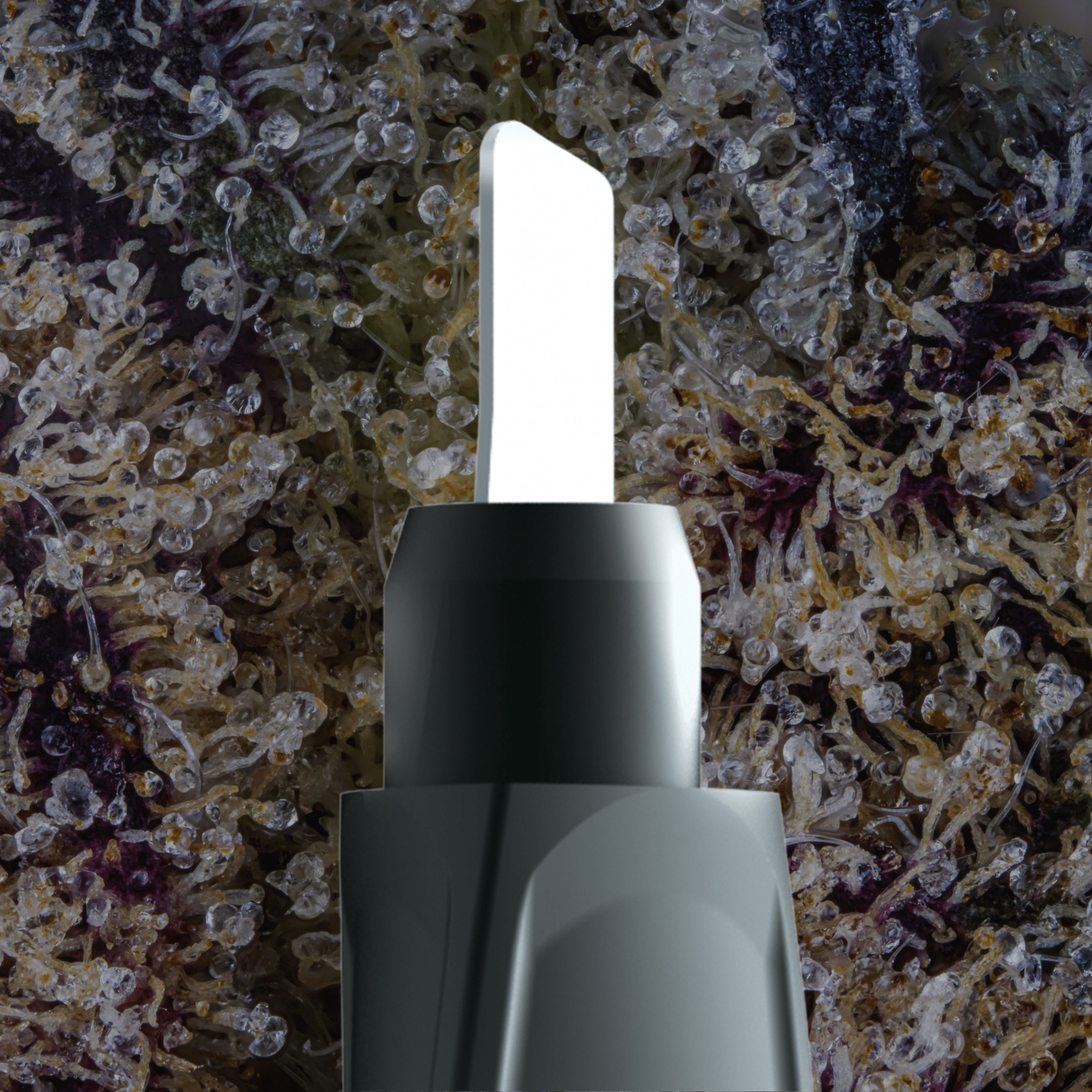 Focus V Saber Replacement Tips 3x | Trichly