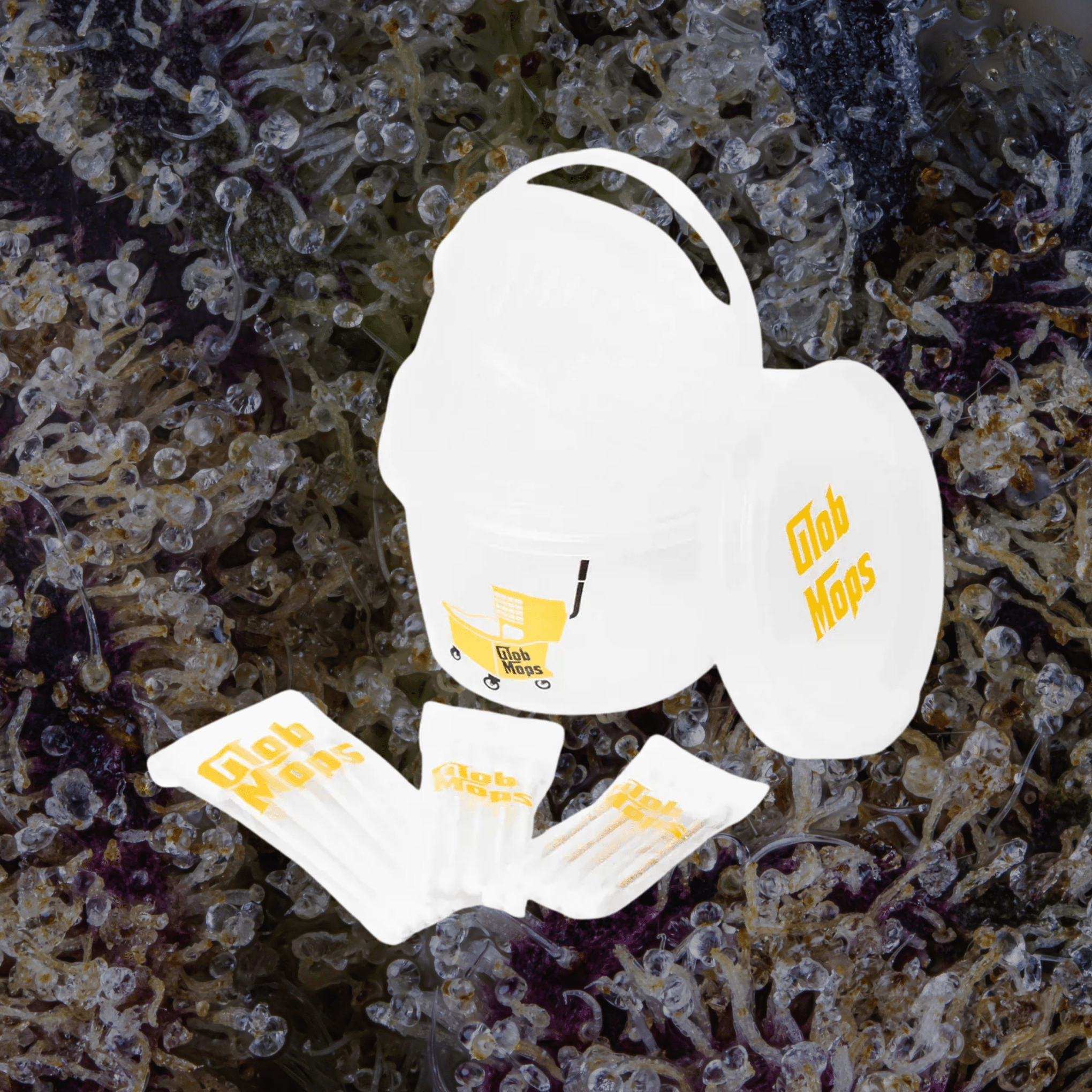 Glob Mop Buckets Round | Trichly