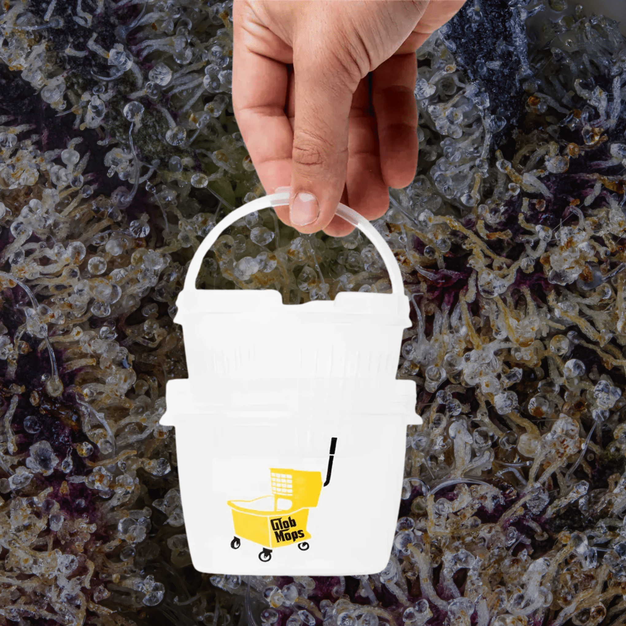 Glob Mop Buckets Round | Trichly