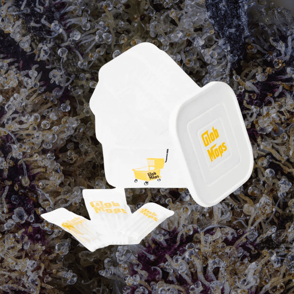 Glob Mop Buckets Square | Trichly