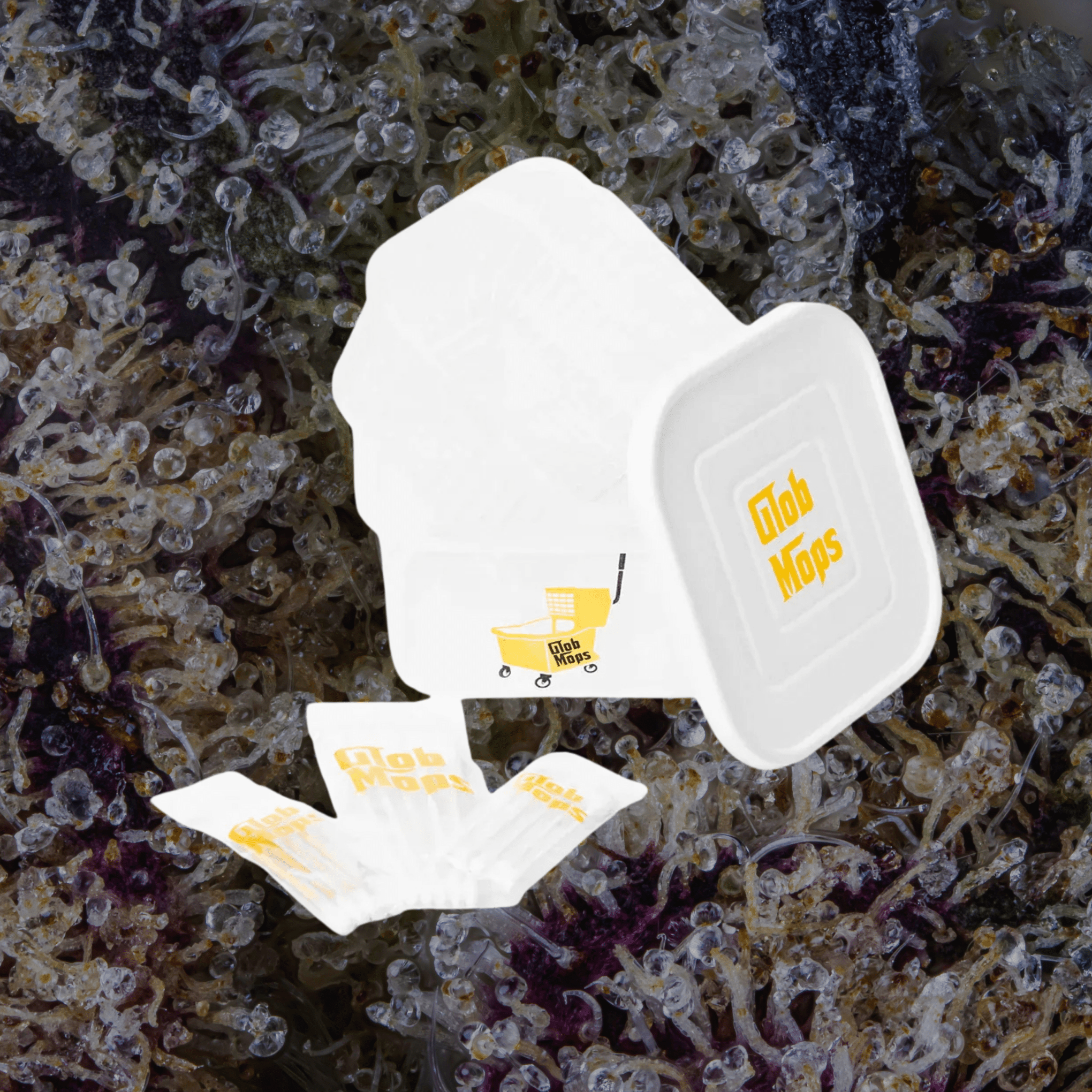 Glob Mop Buckets Square | Trichly