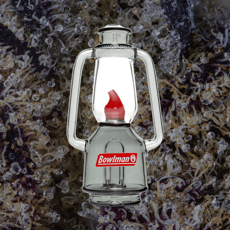 HEMPER Bowlman Lantern Puffco Peak Top | Trichly