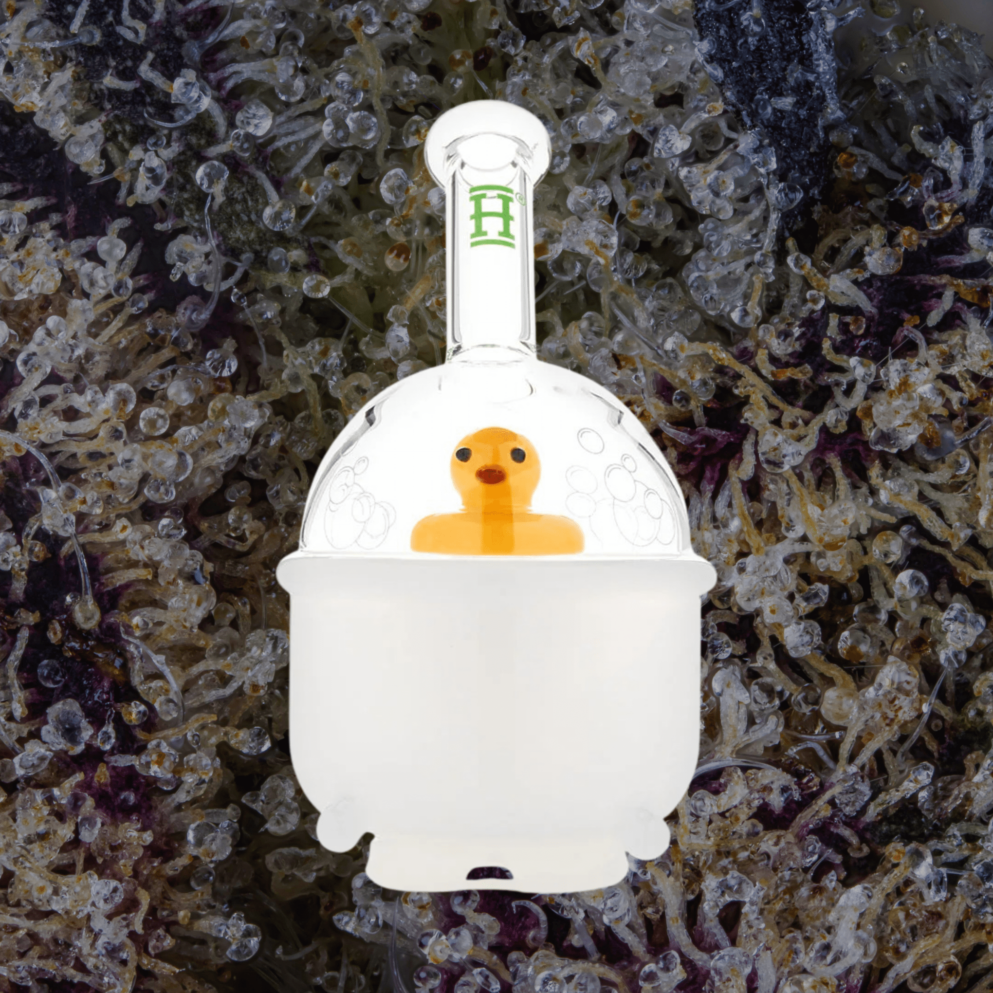 HEMPER Ducky Puffco Peak Top | Trichly