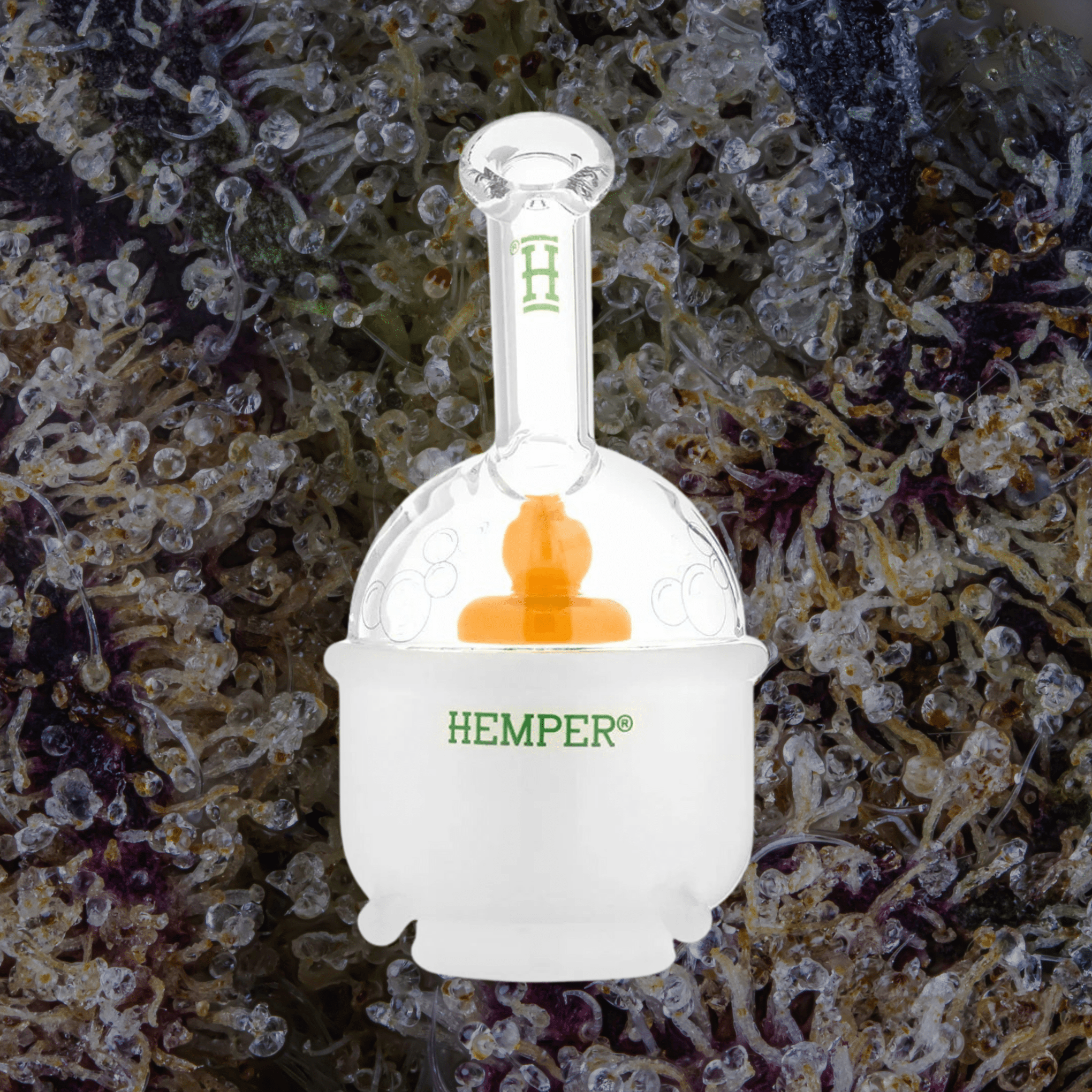 HEMPER Ducky Puffco Peak Top | Trichly