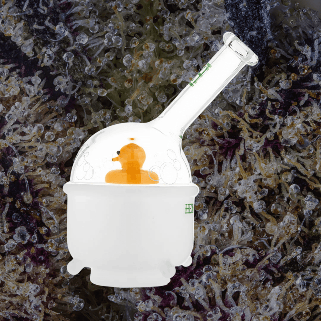 HEMPER Ducky Puffco Peak Top | Trichly
