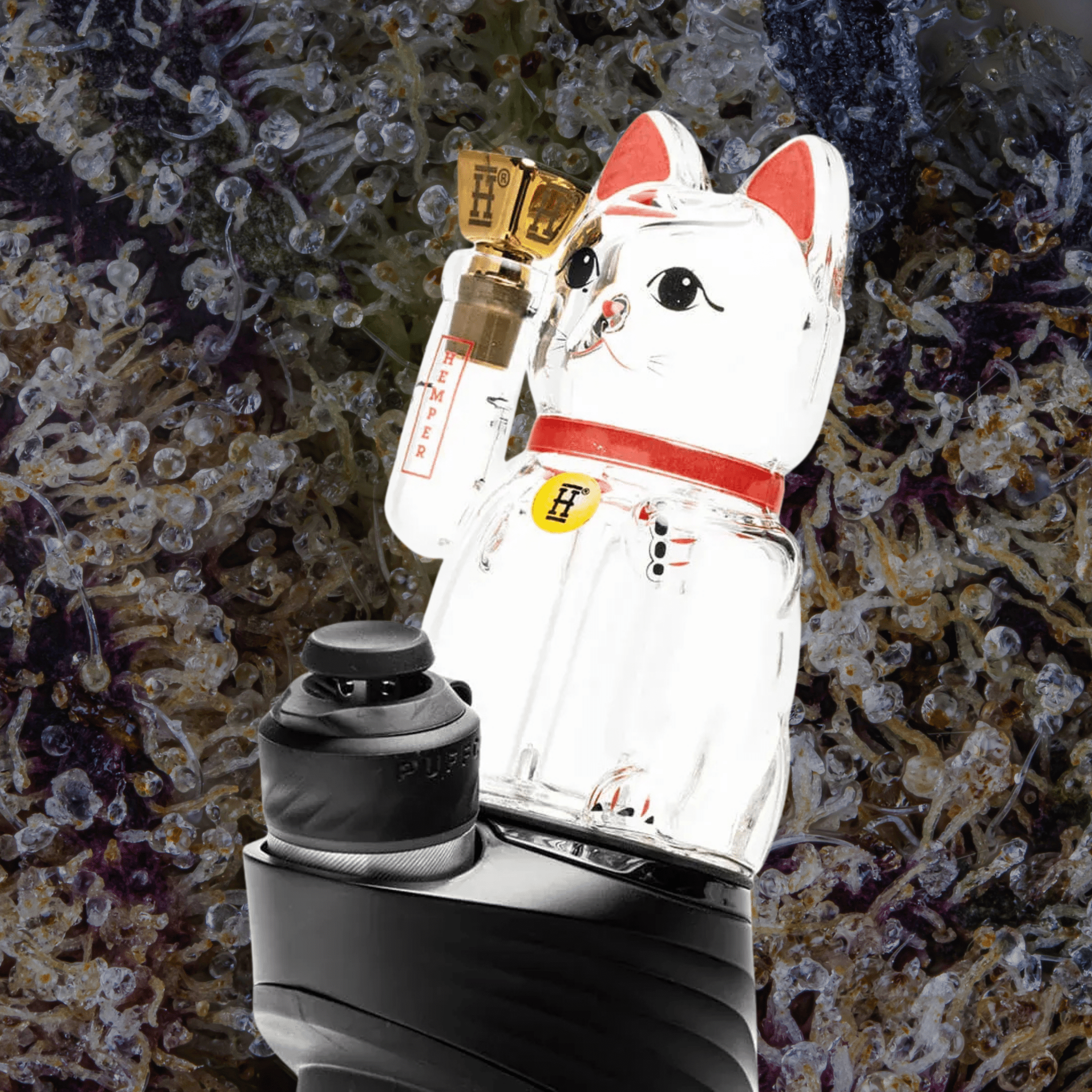HEMPER Lucky Money Cat Puffco Peak Top | Trichly