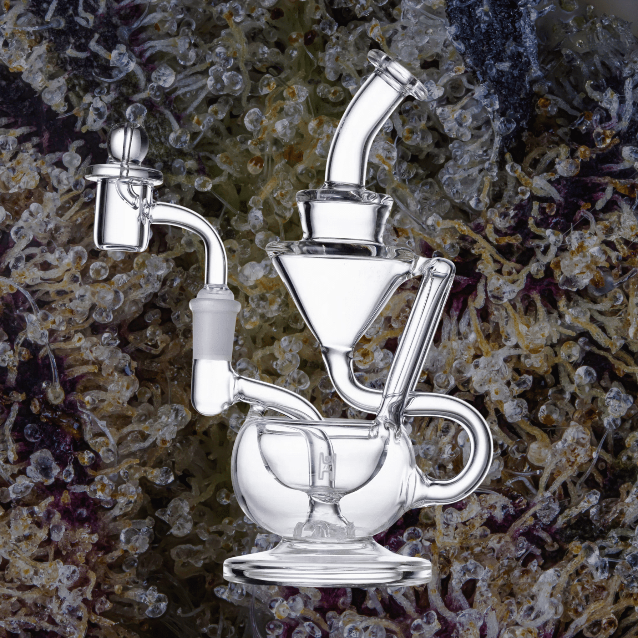 Human Grade 8" Recycler Clear | Trichly