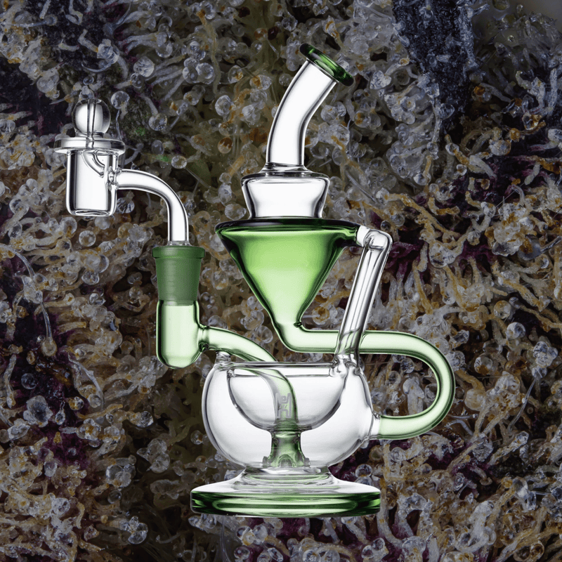 Human Grade 8" Recycler Clear with Green Accent | Trichly