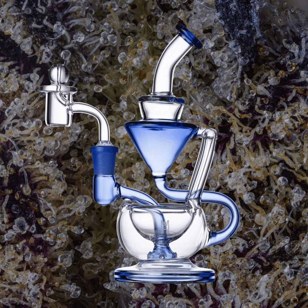 Human Grade 8" Recycler Clear with Light Blue Accent | Trichly