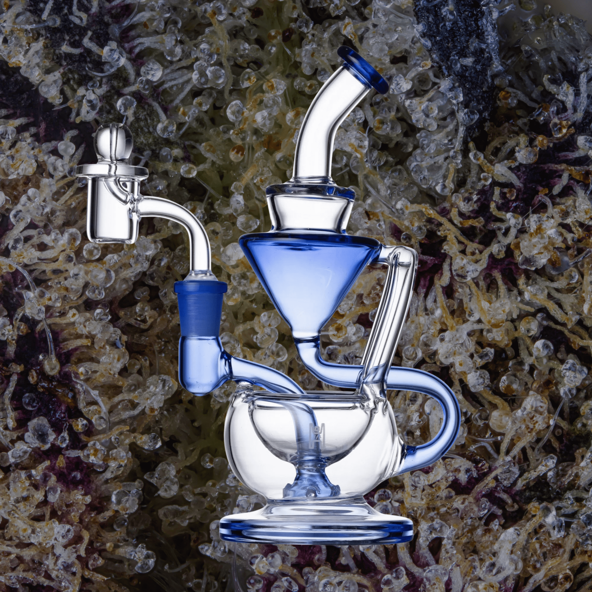 Human Grade 8" Recycler Clear with Light Blue Accent | Trichly