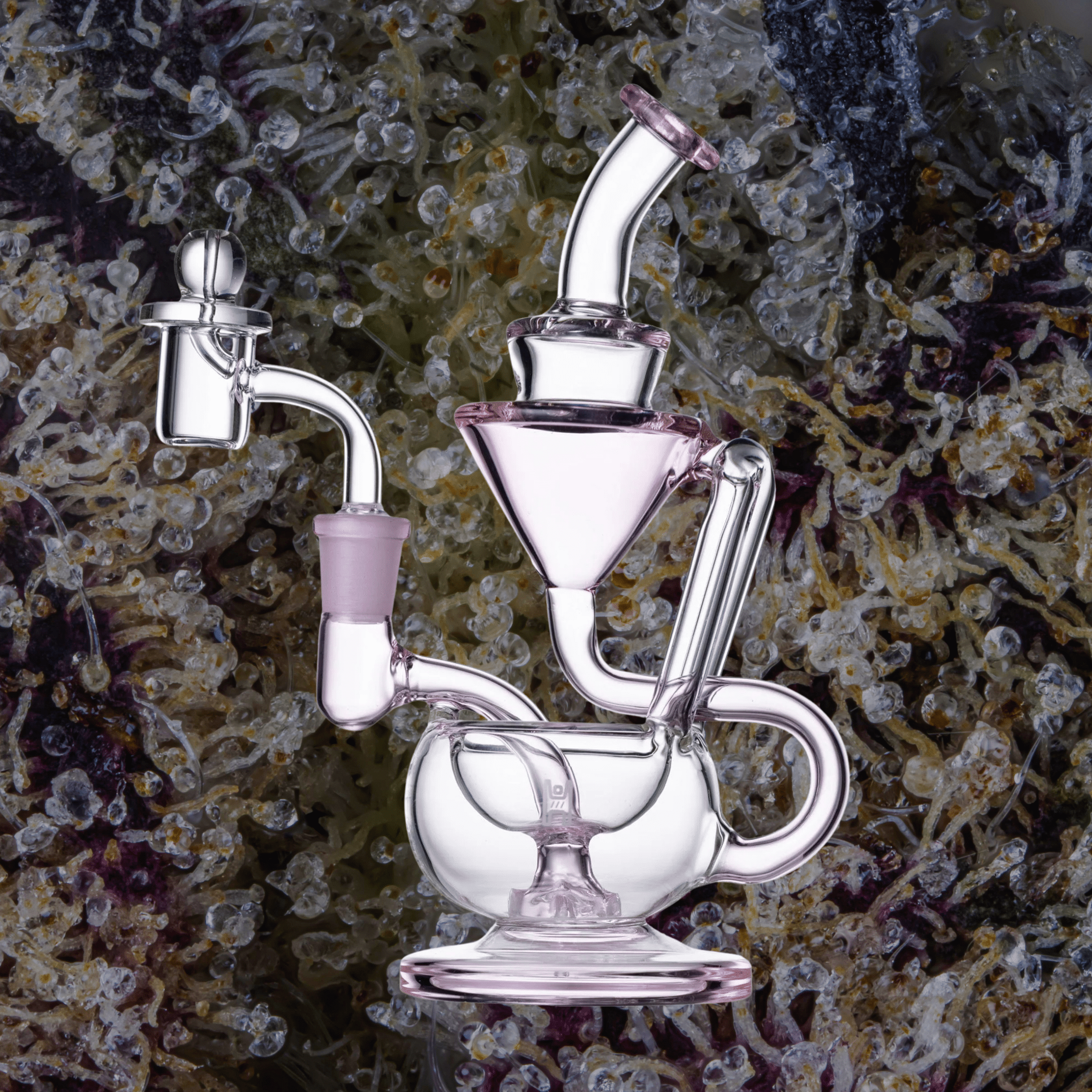 Human Grade 8" Recycler Clear with Pink Accent | Trichly