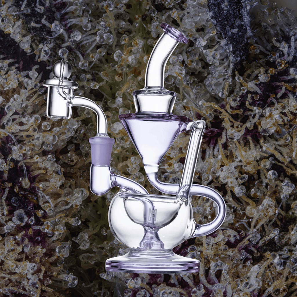 Human Grade 8" Recycler Clear with Purple Accent | Trichly