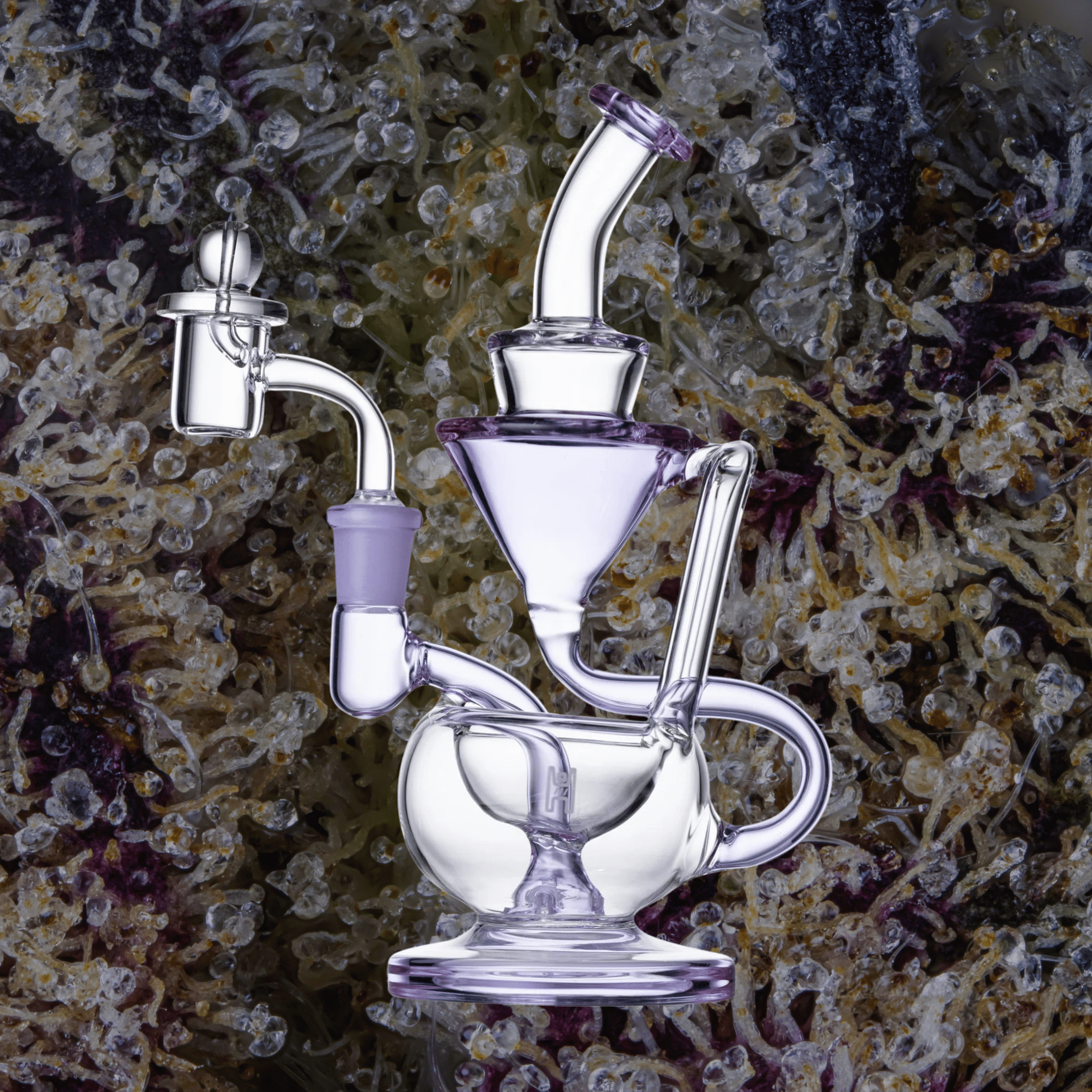 Human Grade 8" Recycler Clear with Purple Accent | Trichly