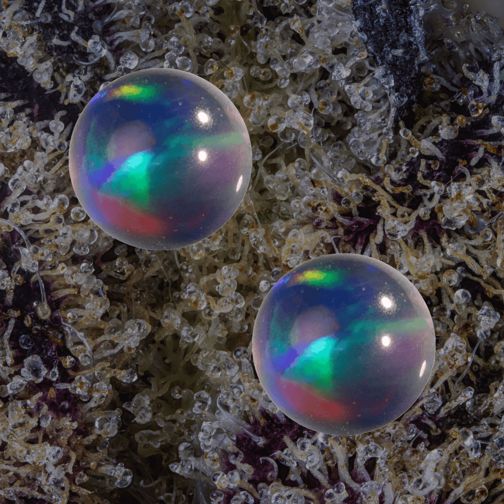 MJ Arsenal Opal Terp Pearls Black | Trichly