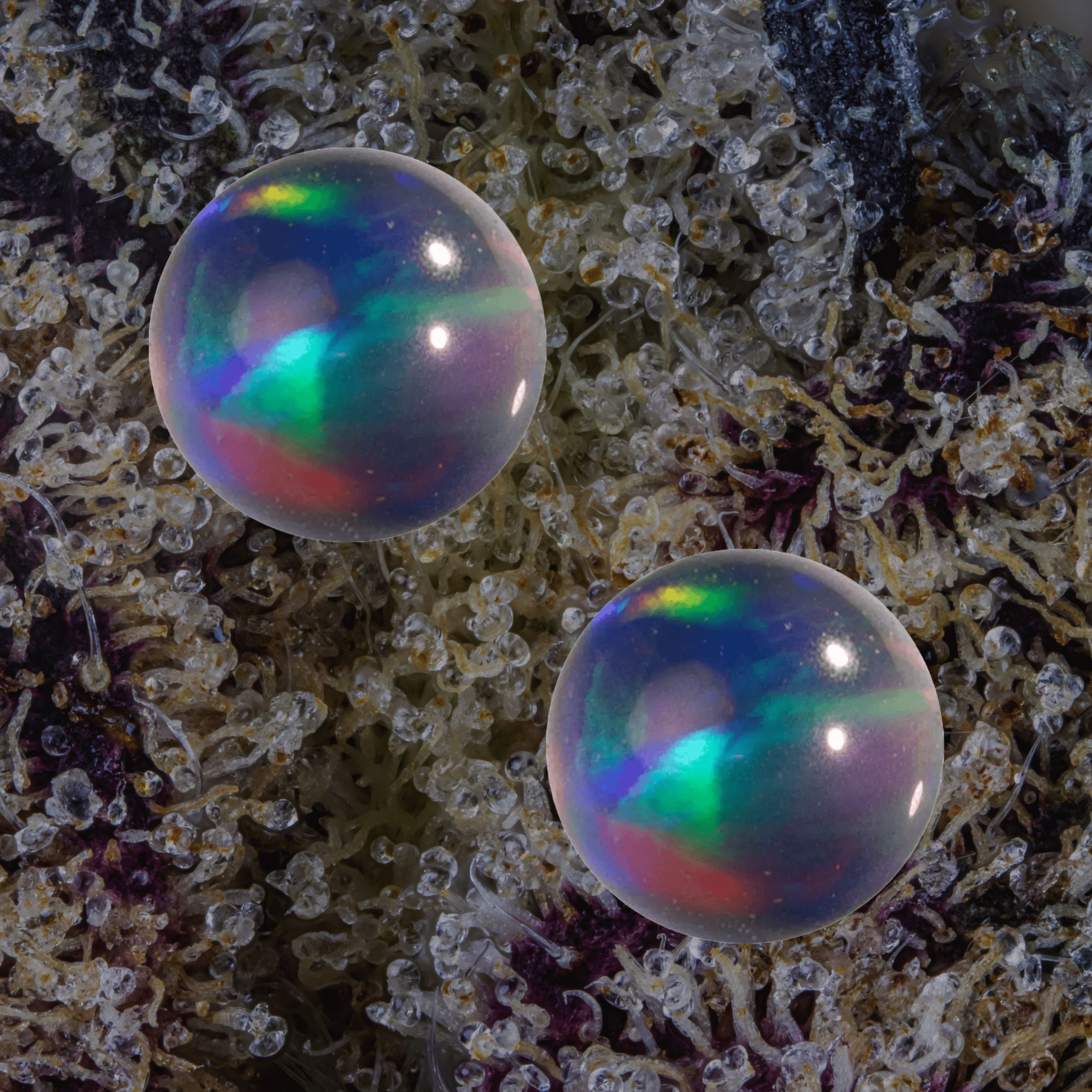 MJ Arsenal Opal Terp Pearls Black | Trichly