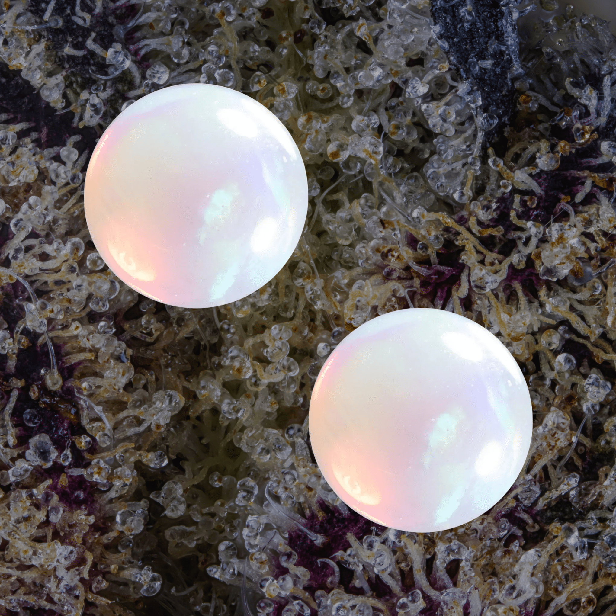 MJ Arsenal Opal Terp Pearls White | Trichly